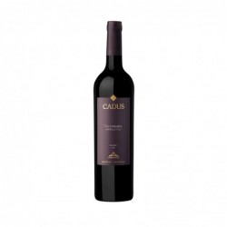 CADUS TUPUNGATO APPELLATION MALBEC 750ML