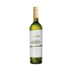 COLOME TORRONTES X 750