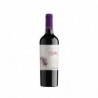 PAULA MALBEC x 750