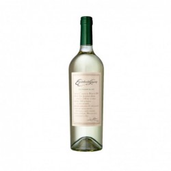 ESCORIHUELA GASCON SAUVIGNON X 750